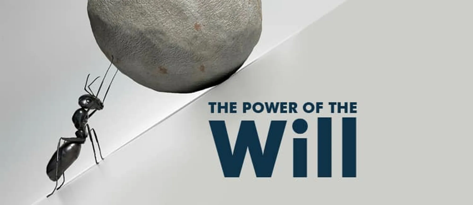 The Power of the will