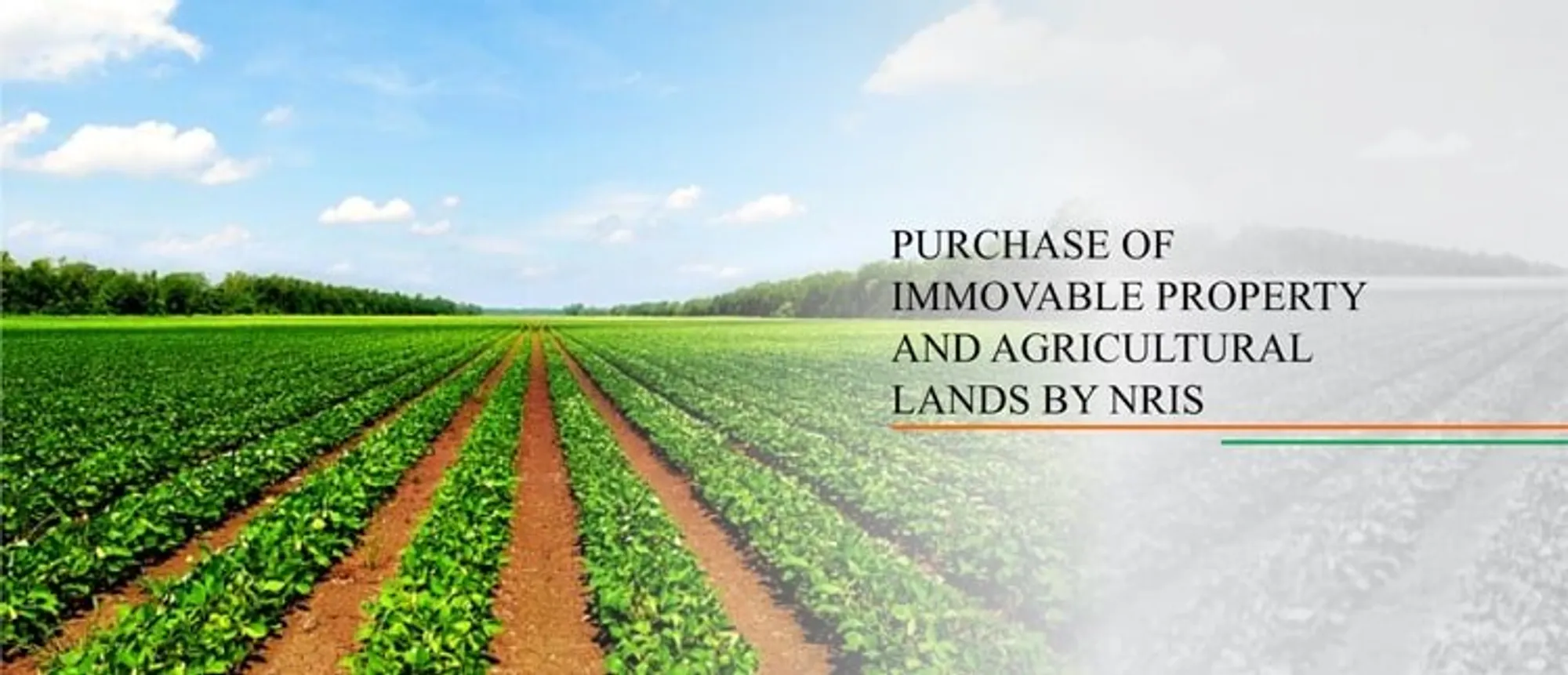 Purchase of Immovable Property and Agricultural Lands by NRIs